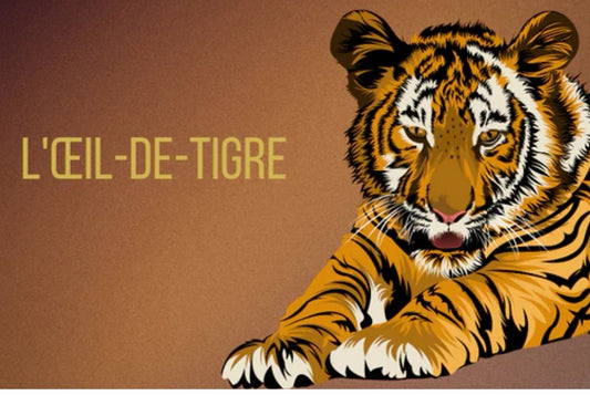 L'œil de tigre : pierre de protection et de courage